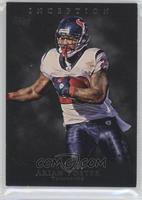 Arian Foster #/106