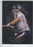 Matt Schaub #/106