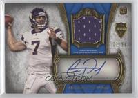 Christian Ponder #/50