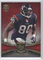 Andre Johnson #/99