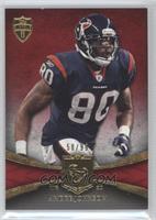 Andre Johnson #/99