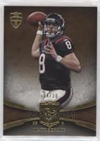 Matt Schaub #/30