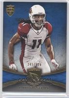 Larry Fitzgerald #/429