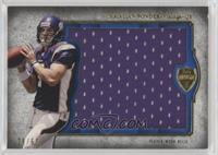 Christian Ponder #/55