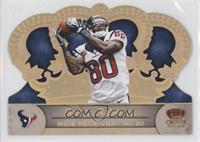 Andre Johnson #/99