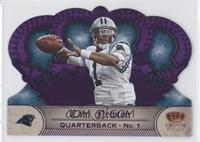 Cam Newton #/25