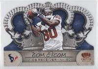 Andre Johnson