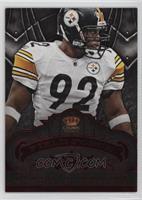 James Harrison #/100