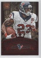 Arian Foster #/100