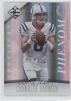 Phenom - Chandler Harnish #/49