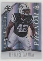 Phenom - Terrance Ganaway #/49