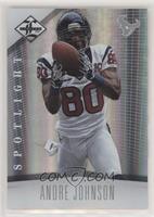 Andre Johnson #/49