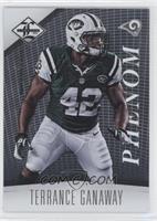 Phenom - Terrance Ganaway #/299