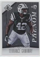 Phenom - Terrance Ganaway #/299