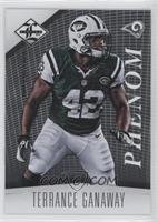 Phenom - Terrance Ganaway #/299