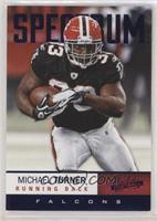 Michael Turner #/100