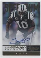 Santonio Holmes #/75