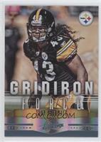 Troy Polamalu #/100