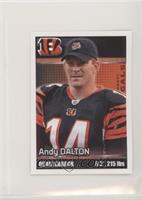 Andy Dalton