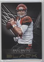 Andy Dalton #/49