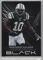 Santonio Holmes #/349