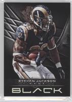 Steven Jackson #/349