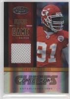 Tamba Hali #/48