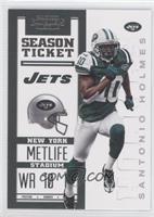 Season Ticket - Santonio Holmes