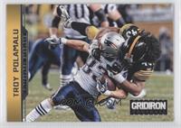 Troy Polamalu #/250