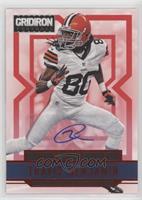 Rookie - Travis Benjamin #/499