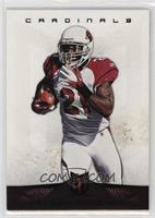 Patrick Peterson #/5