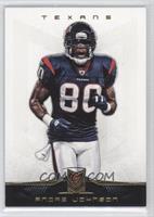 Andre Johnson #/99