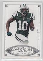 Santonio Holmes #/99