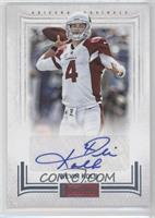 Kevin Kolb #/25