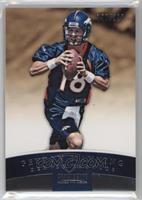 Peyton Manning #/897