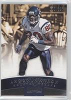 Andre Johnson #/897