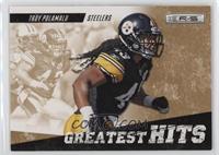 Troy Polamalu #/500