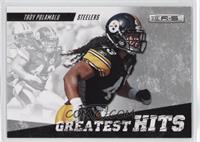 Troy Polamalu