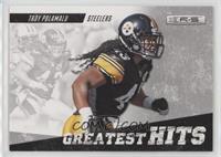 Troy Polamalu