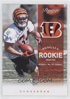 Rookie - Dan Herron