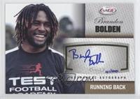 Brandon Bolden #/100