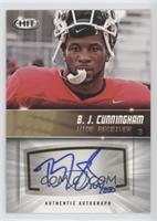 B.J. Cunningham #/250