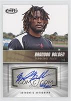 Brandon Bolden #/250