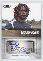 Brandon Bolden #/250