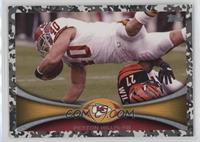 Peyton Hillis #/399