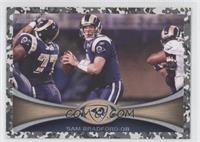 Sam Bradford #/399