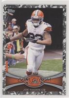 Joe Haden #/399