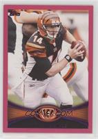 Andy Dalton #/399