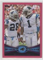 Carolina Panthers #/399