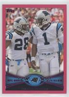 Carolina Panthers #/399